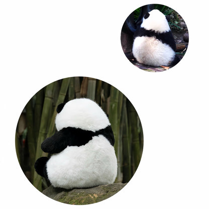 He Hua Panda – La Adele del mundo panda 🐼🎶
