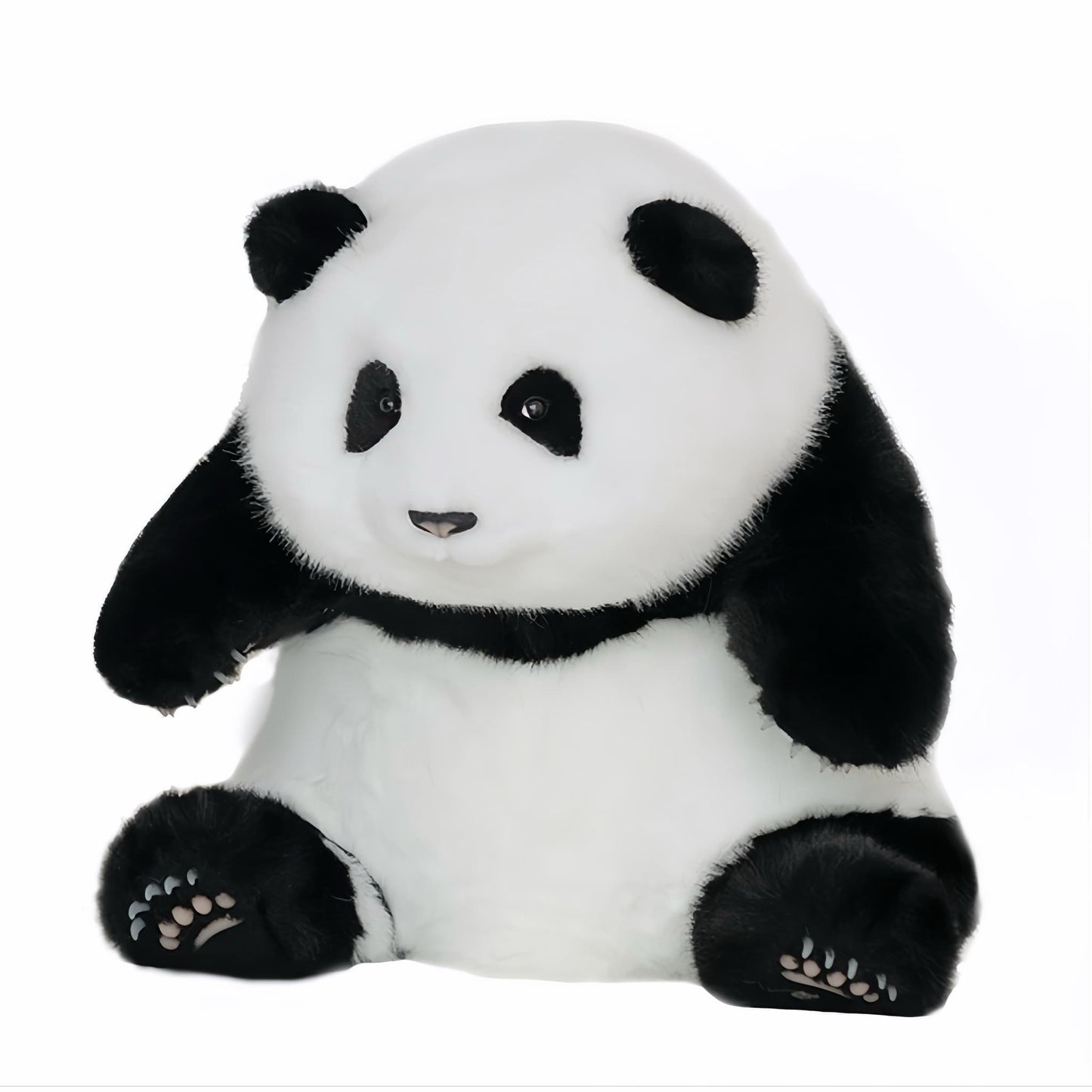 He Hua Panda – La Adele del mundo panda 🐼🎶