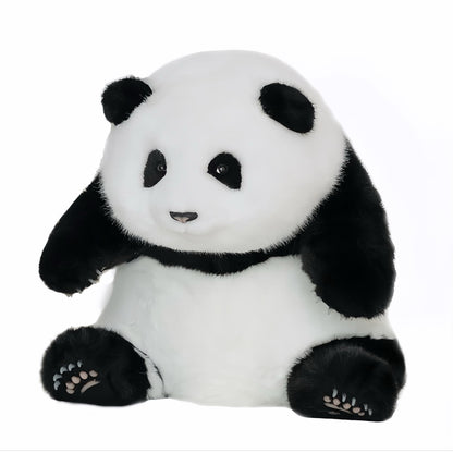 He Hua Panda – La Adele del mundo panda 🐼🎶