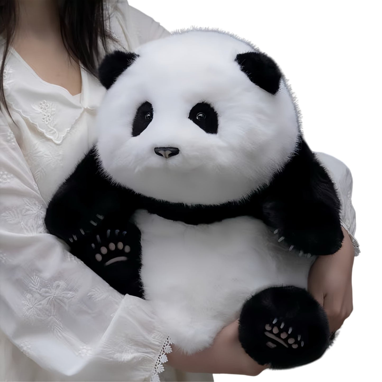 He Hua Panda – La Adele del mundo panda 🐼🎶