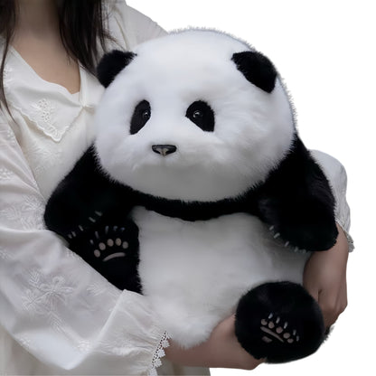 He Hua Panda – La Adele del mundo panda 🐼🎶